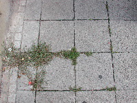 Strukturen