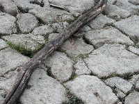 Strukturen